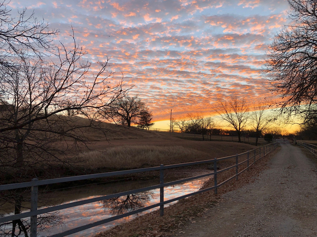 Elm Creek Manor主图