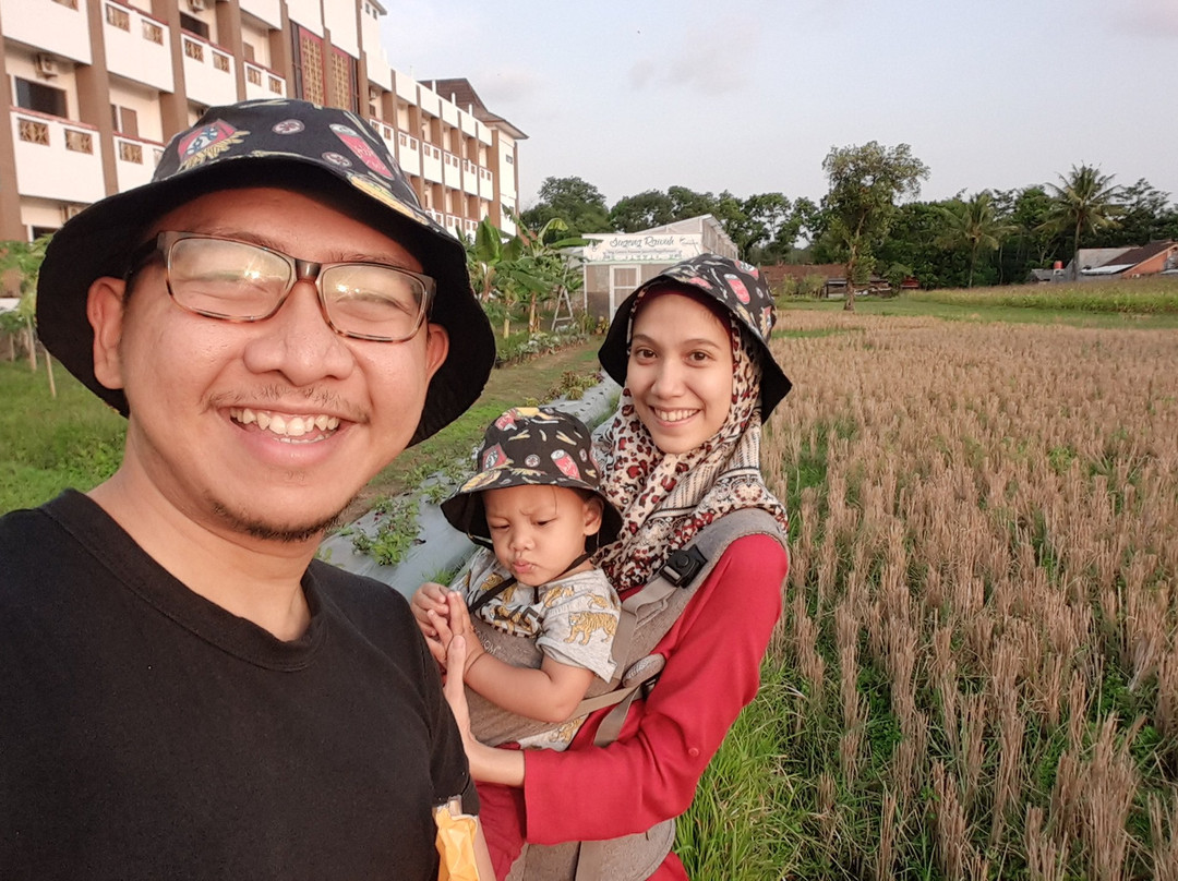 Java Village Resort主图