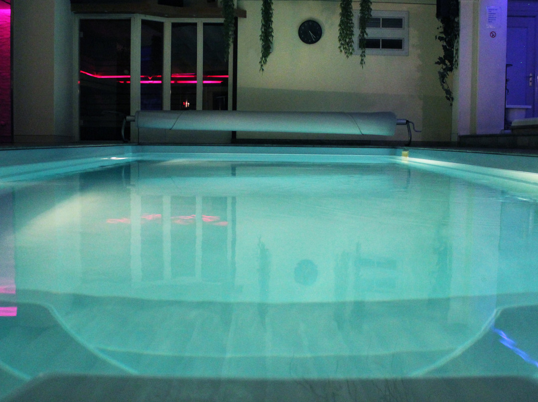 Aarts Wellness主图