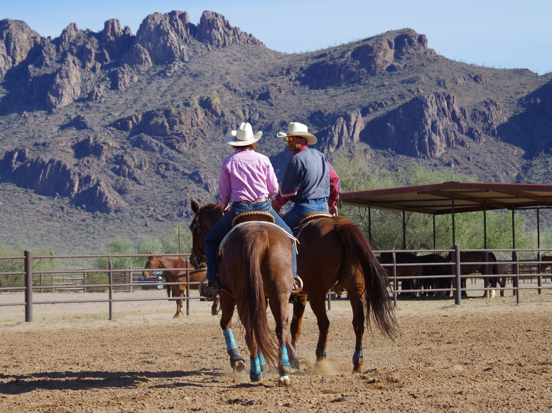 亚利桑那酒店住宿-白马牧场酒店