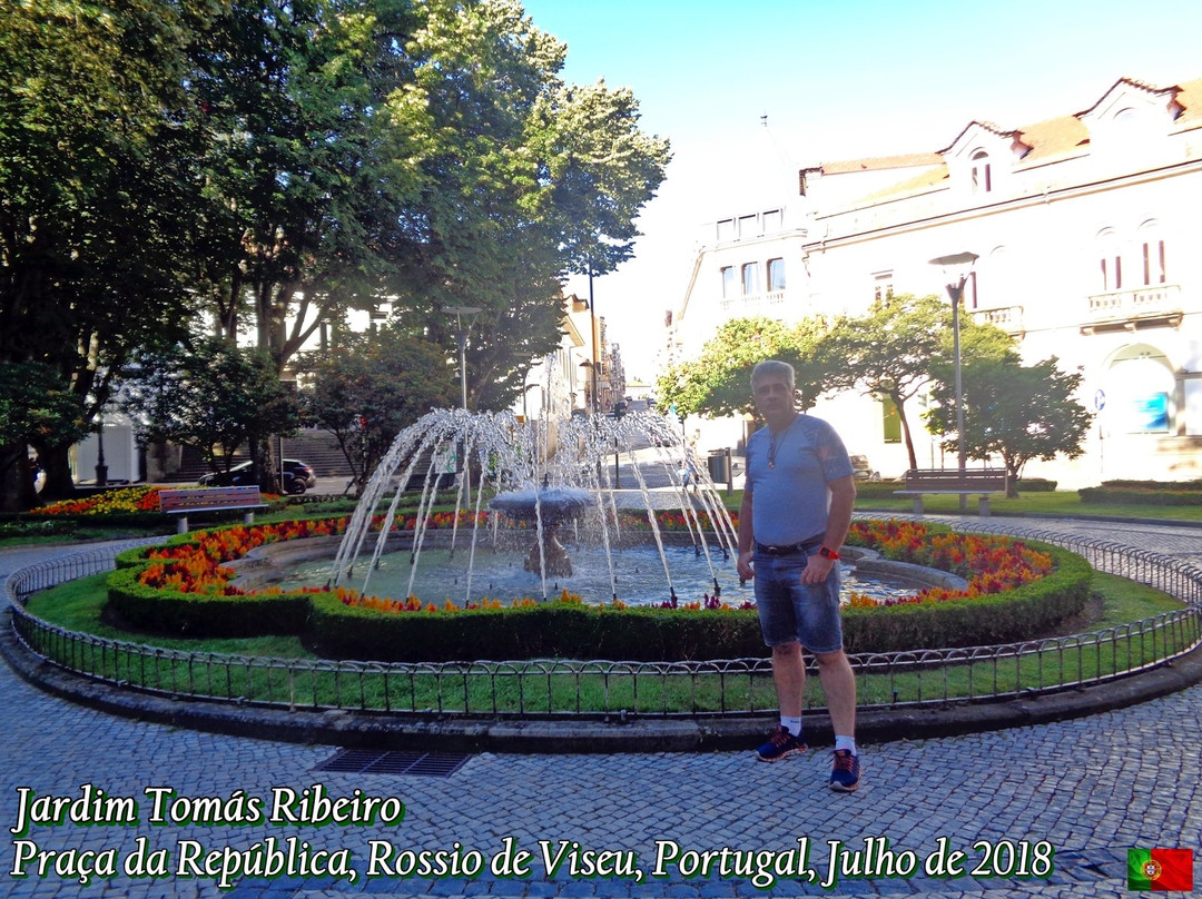 Jardim Tomas Ribeiro景点图片