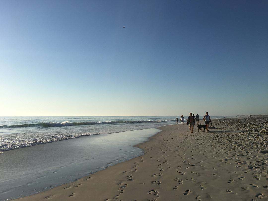 Eden on the Bay-Bloubergstrand必去景点
