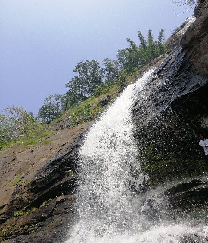 Chinnakanal Waterfalls景点图片
