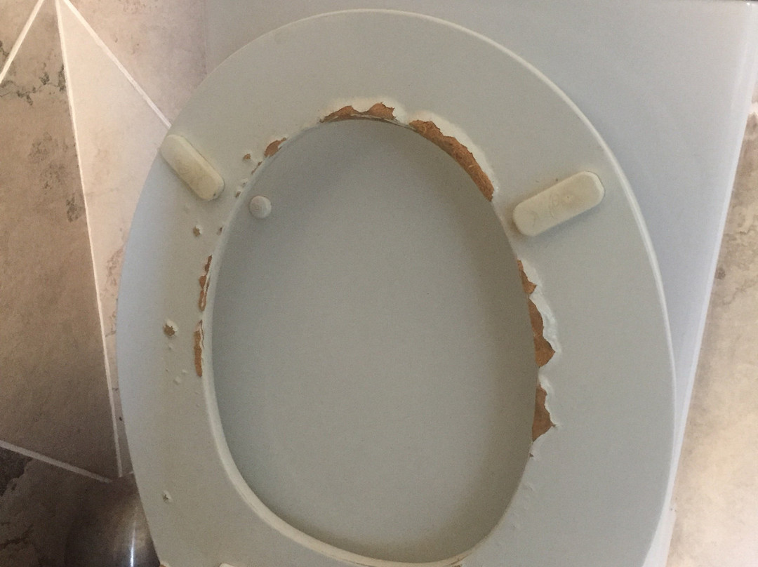 Manor Hills Guest Lodge主图