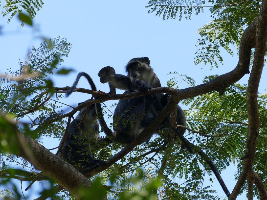 Neptune Village Beach Resort & Spa主图