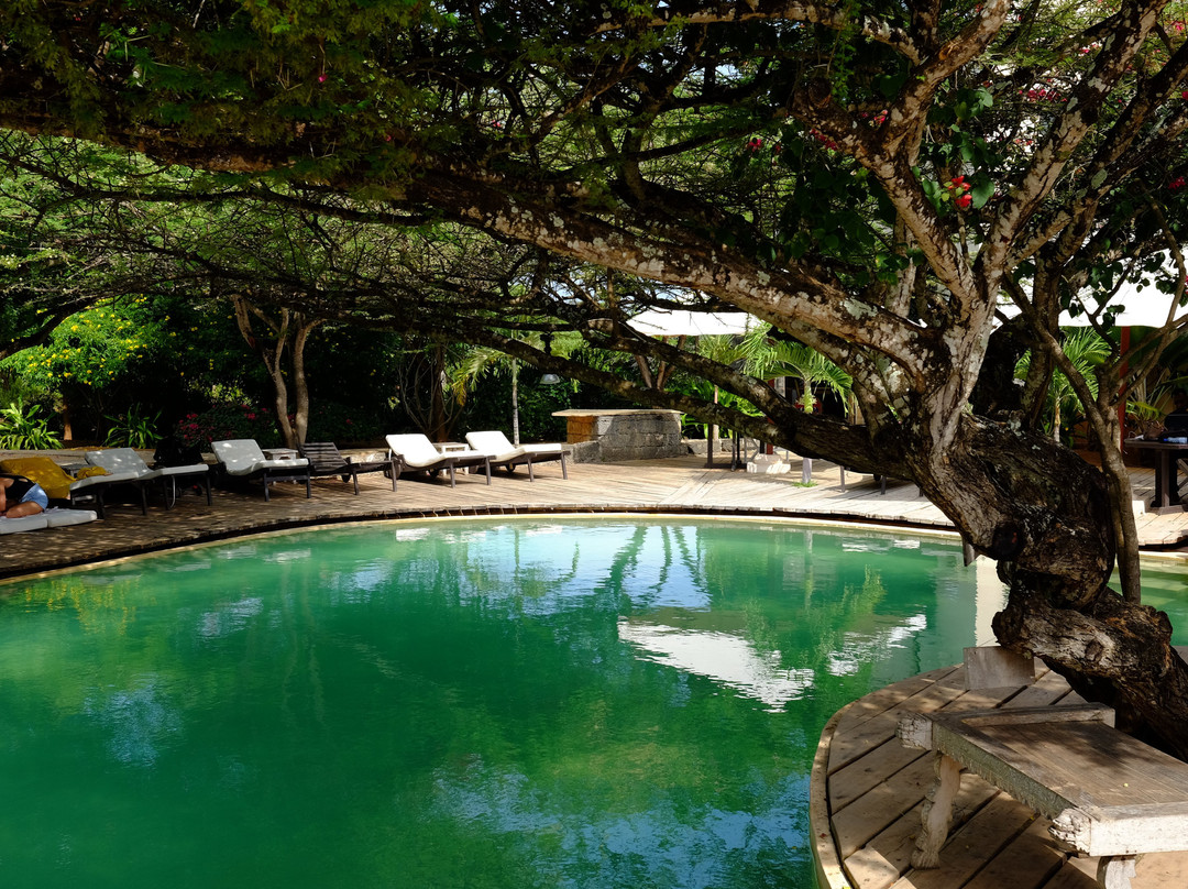 The Majlis Resort主图