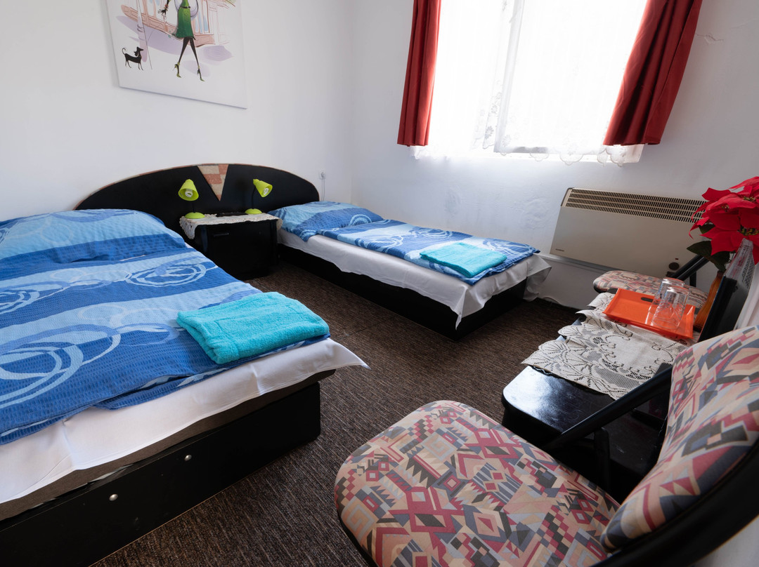 Karlova Ves酒店住宿-Pension Vilo