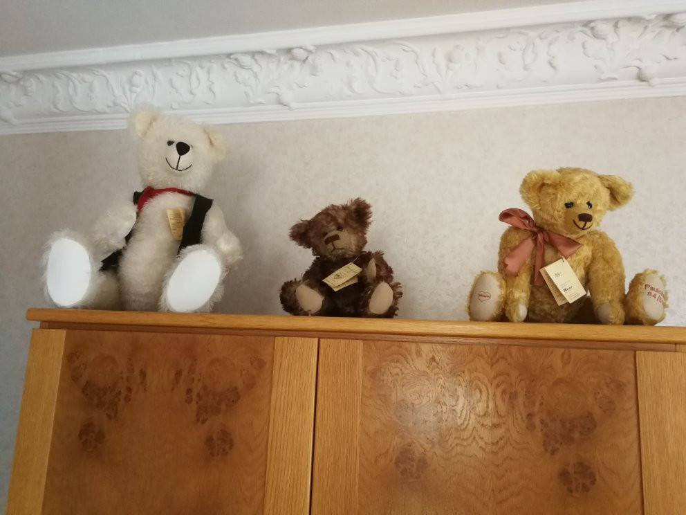 Teddybärenhotel主图