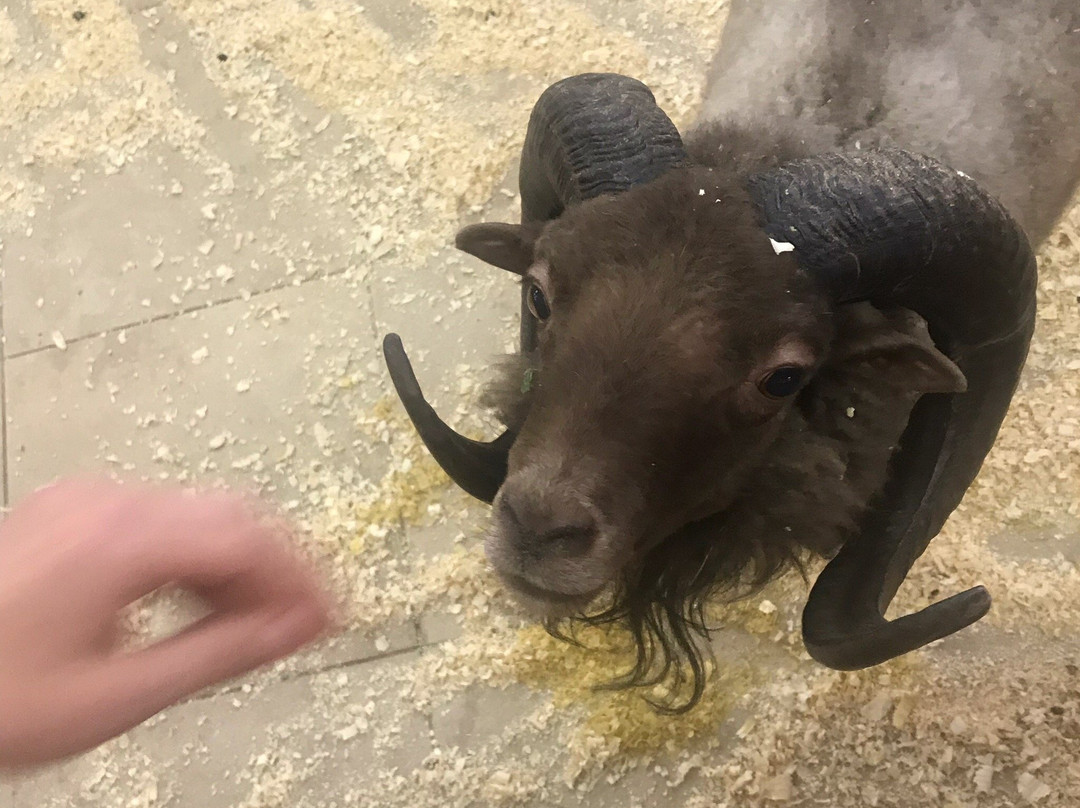 City Center-敖德萨必去景点