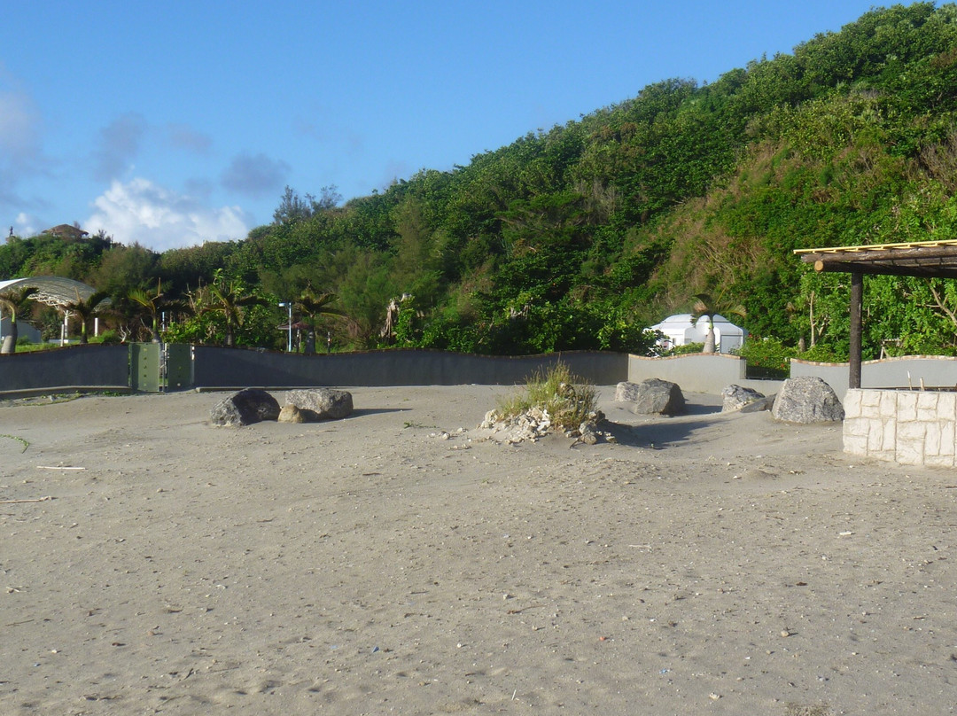 Sea Turtle Spawning Ground-Haha-jima必去景点