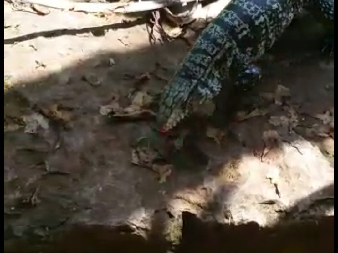 Eco Resort Scandolo Riguetti主图