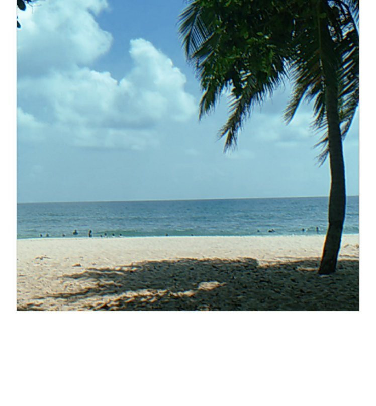 Desaru Beach景点图片