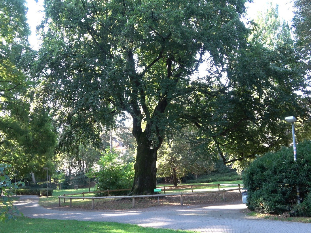 Alter Botanischer Garten景点图片