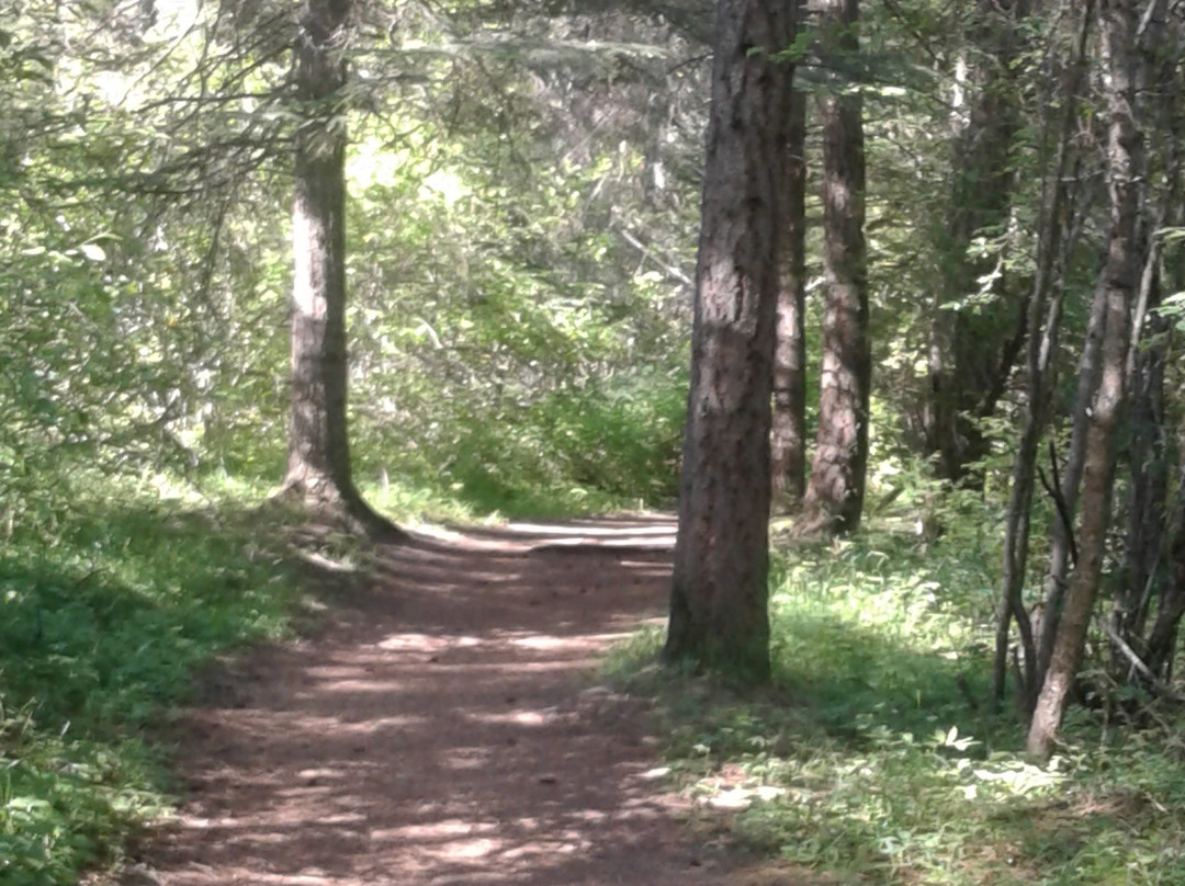 English Point Recreation Area-Hayden Lake必去景点