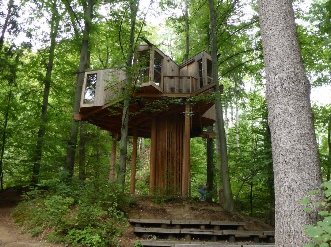 City Forrest Tree House-Celje必去景点