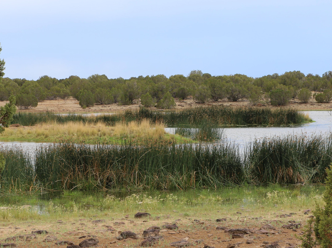 Pintail Lake-肖洛必去景点