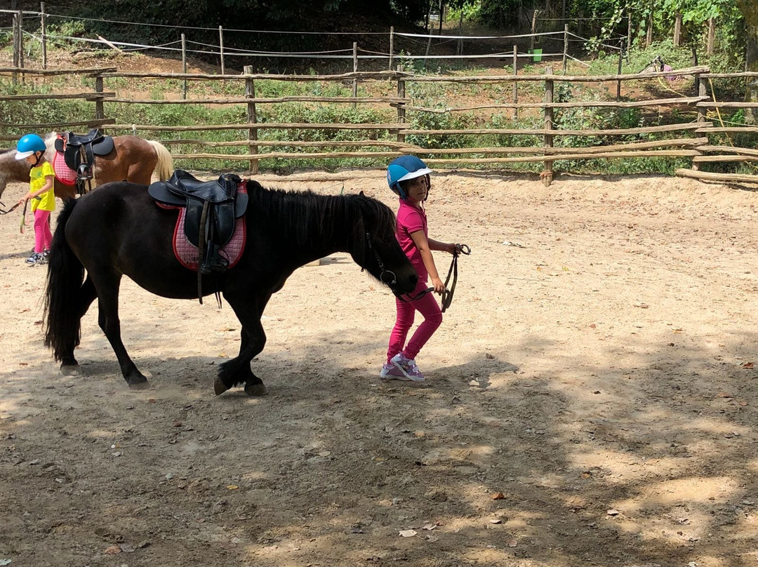 Lori Riding Centre-Manziana必去景点