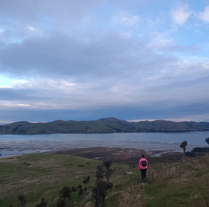 Heyward Point Track-Aramoana必去景点