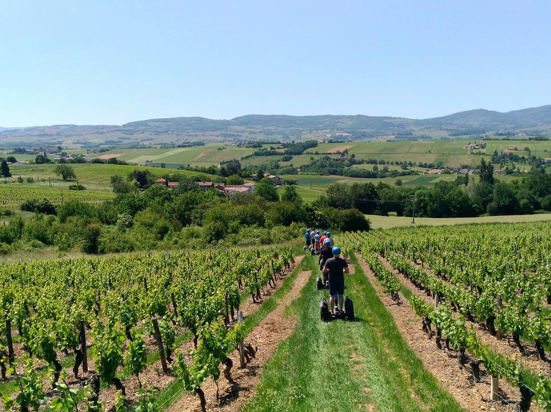 Mobilboard Villefranche-Beaujolais-索恩河畔自由城必去景点