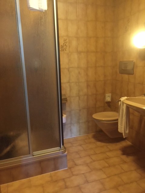 Wohlfuhlhotel Ortnerhof Relax & Balance-浴室
