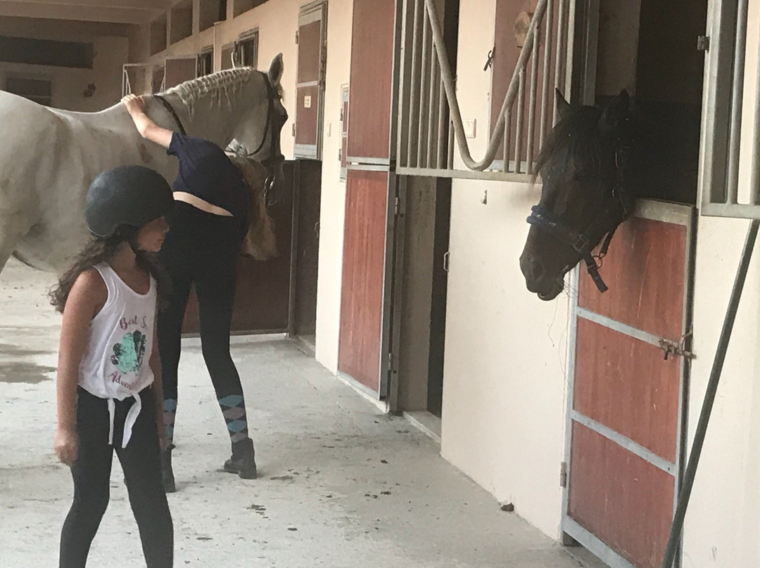 Turgutreis Countryranch Atli Spor Kulubu景点图片
