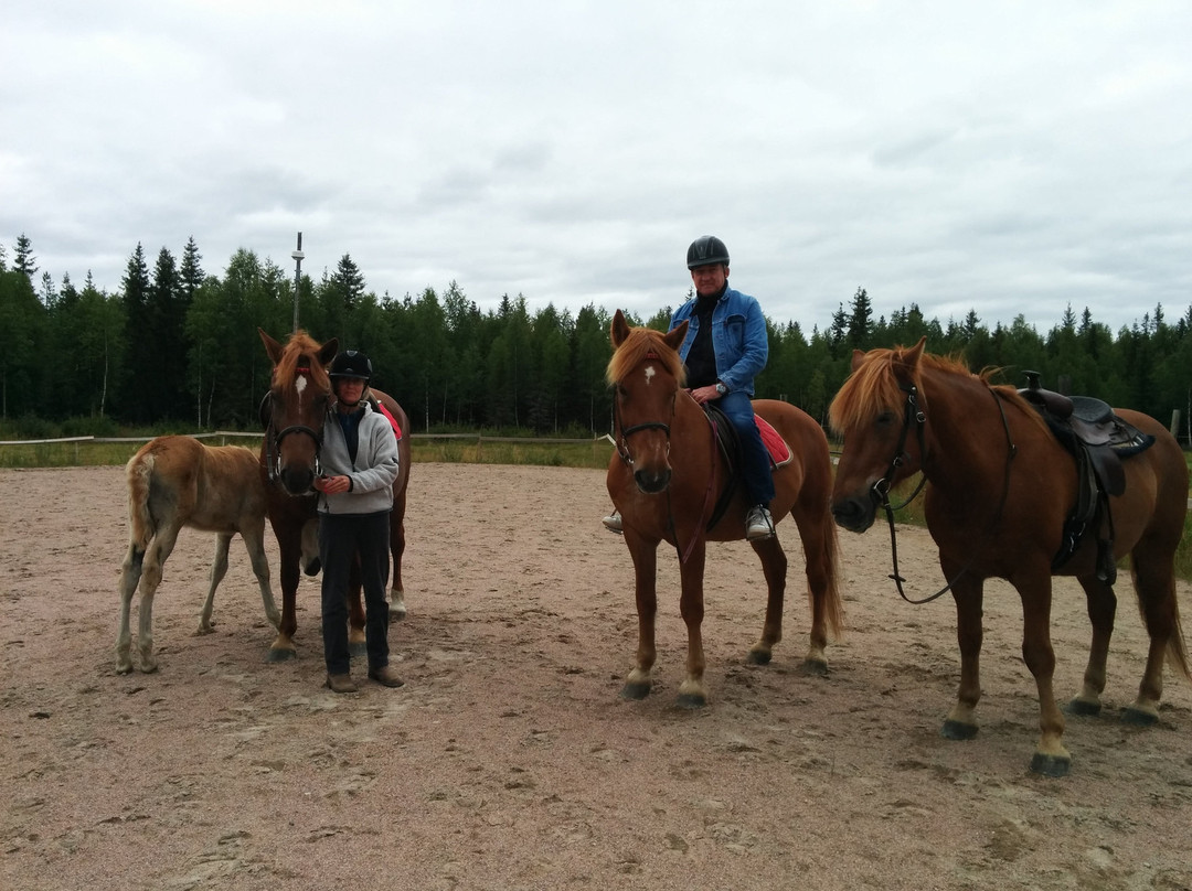 Off-Piste Adventures-Kemijarvi必去景点