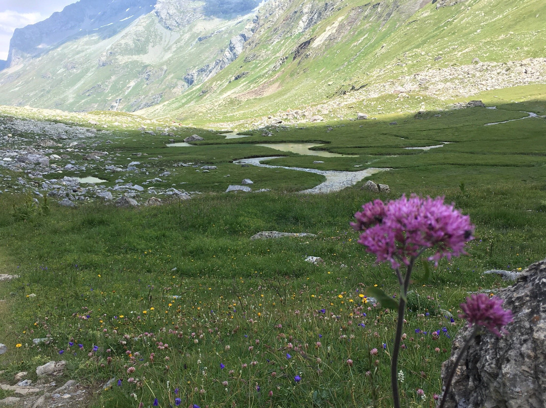 Lac de la Plagne景点图片