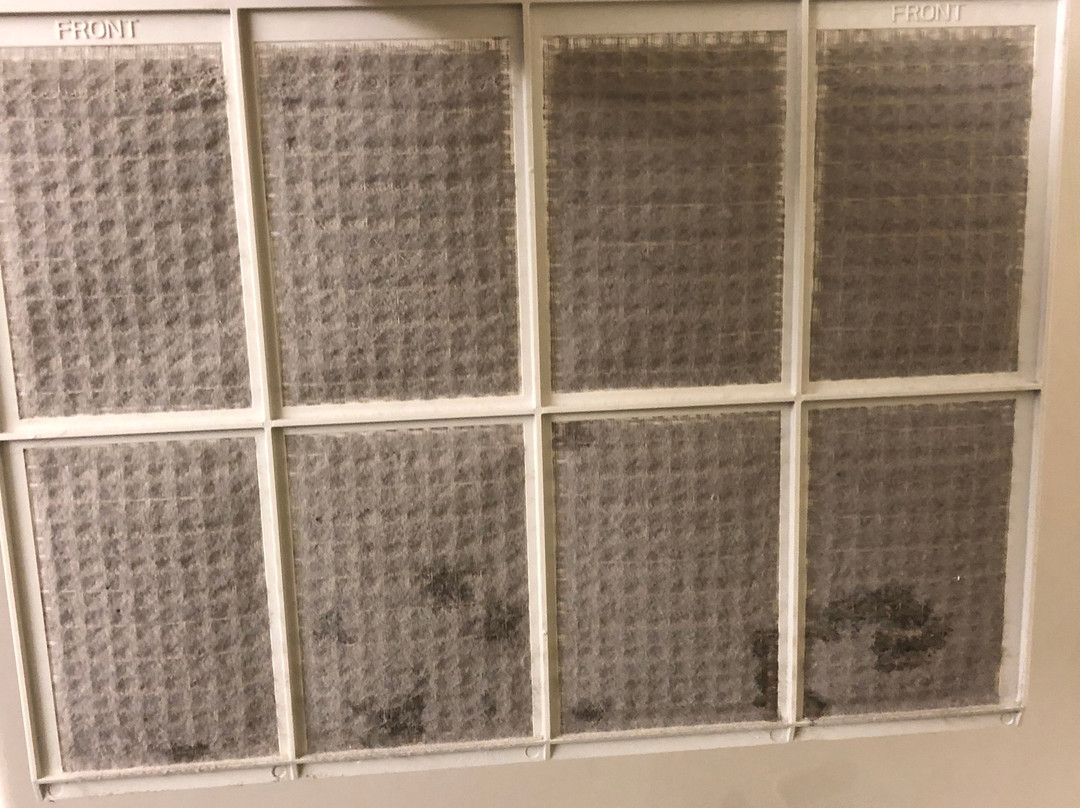 Canad Inns Destination Centre Garden City主图