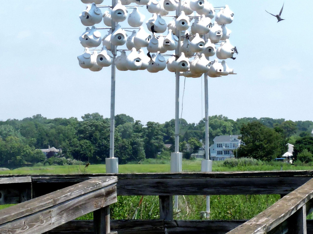 The Coastal Center at Milford Point-米尔福德必去景点