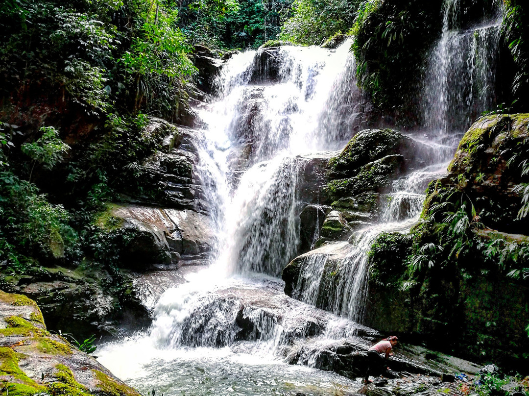 Catarata De Ishipashiari-Atalaya必去景点