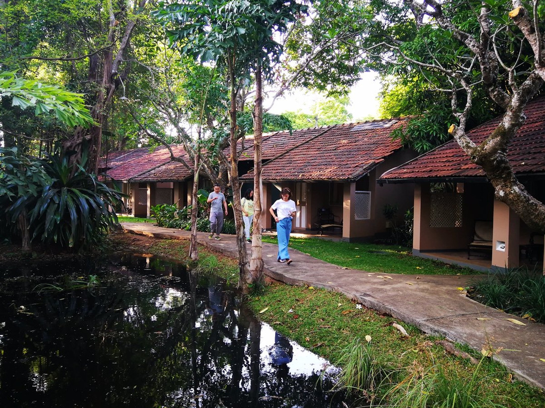 锡吉里亚村酒店主图