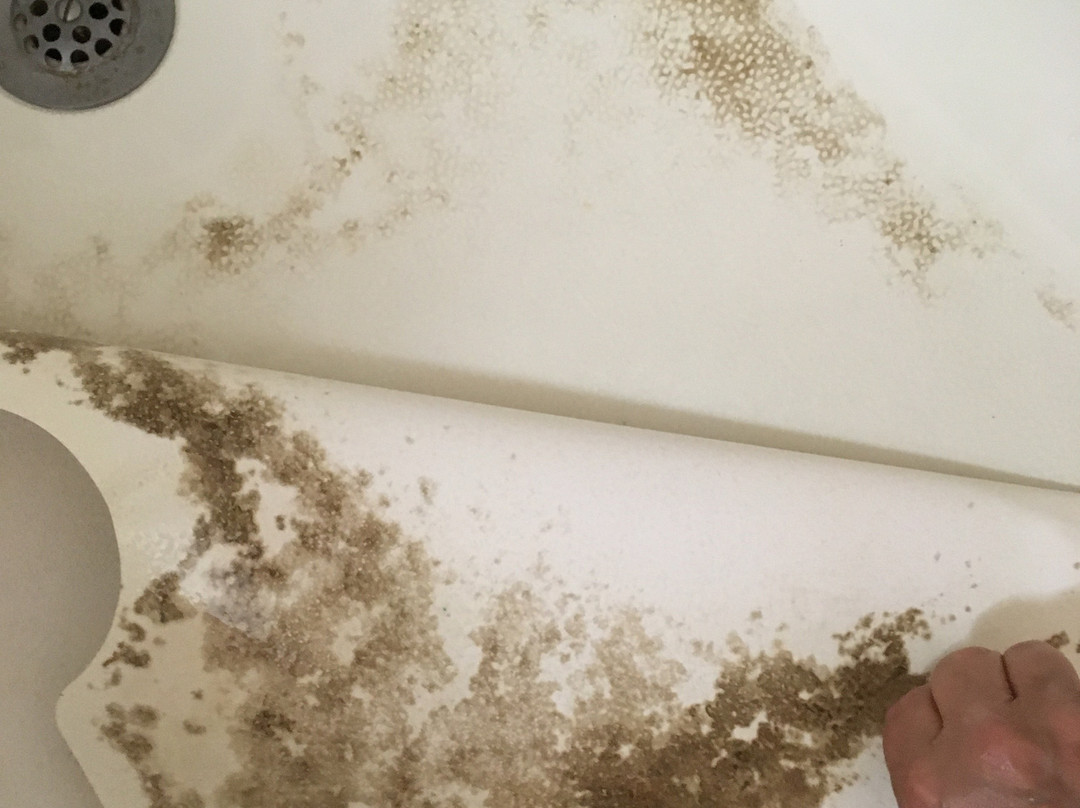 Super 8 by Wyndham Bath Hammondsport Area主图