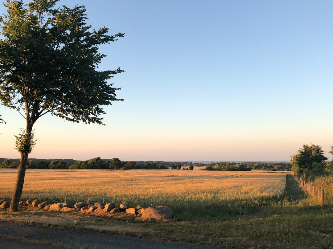 幸福奶奶的住宿加早餐旅馆主图