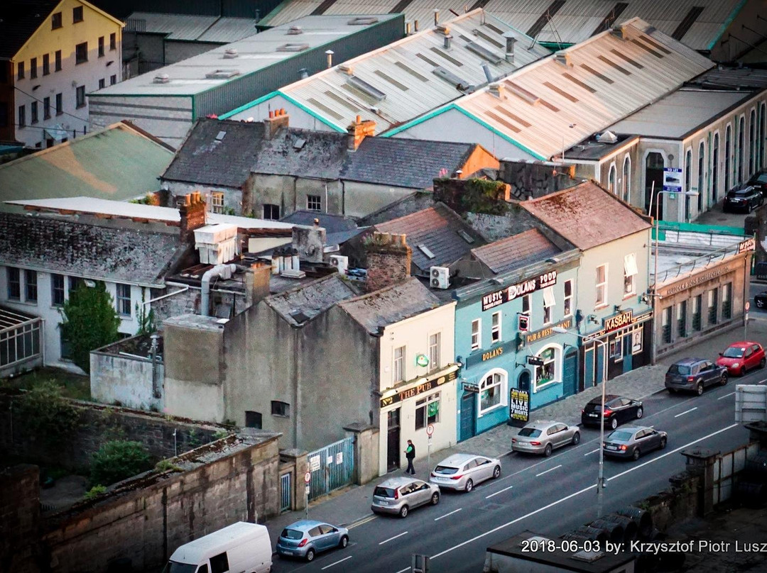 Dolan's Pub & Live Music Venue-利默里克必去景点