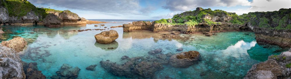 Coral Gardens-官方