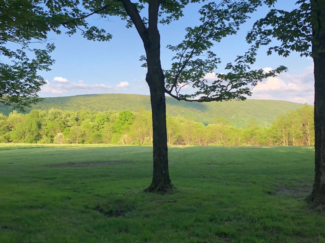 Blue Knob State Park景点图片