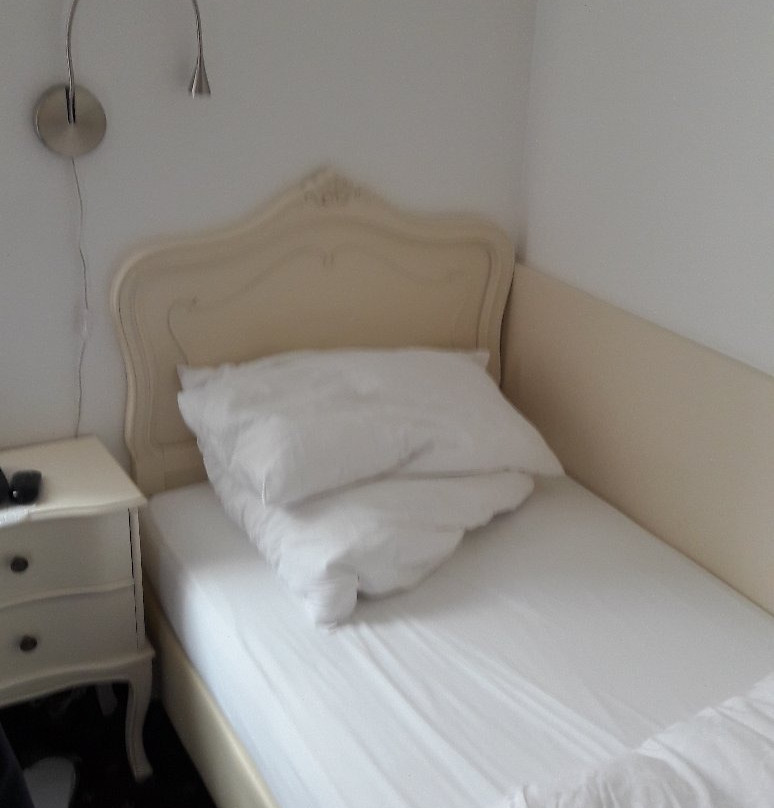 伊霍恩中心酒店主图