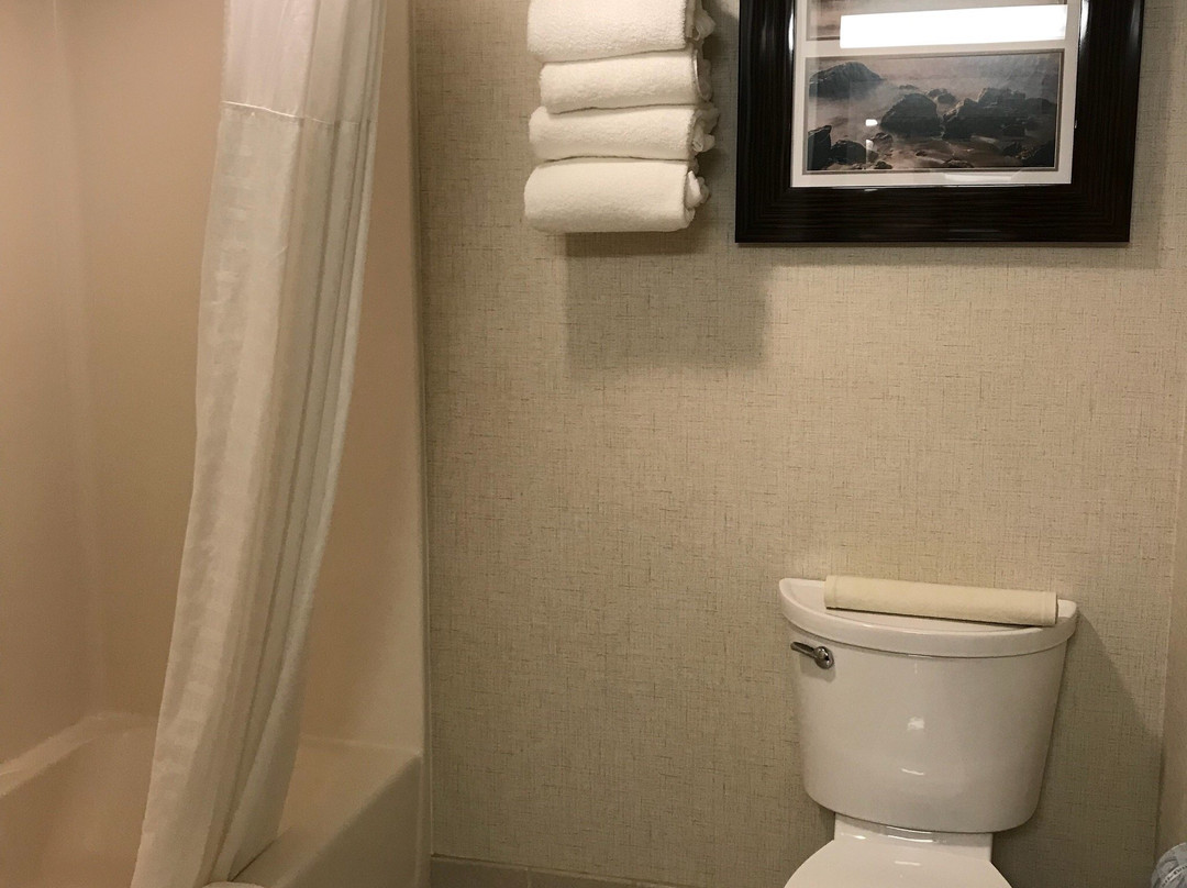 Comfort Inn Humboldt Bay主图