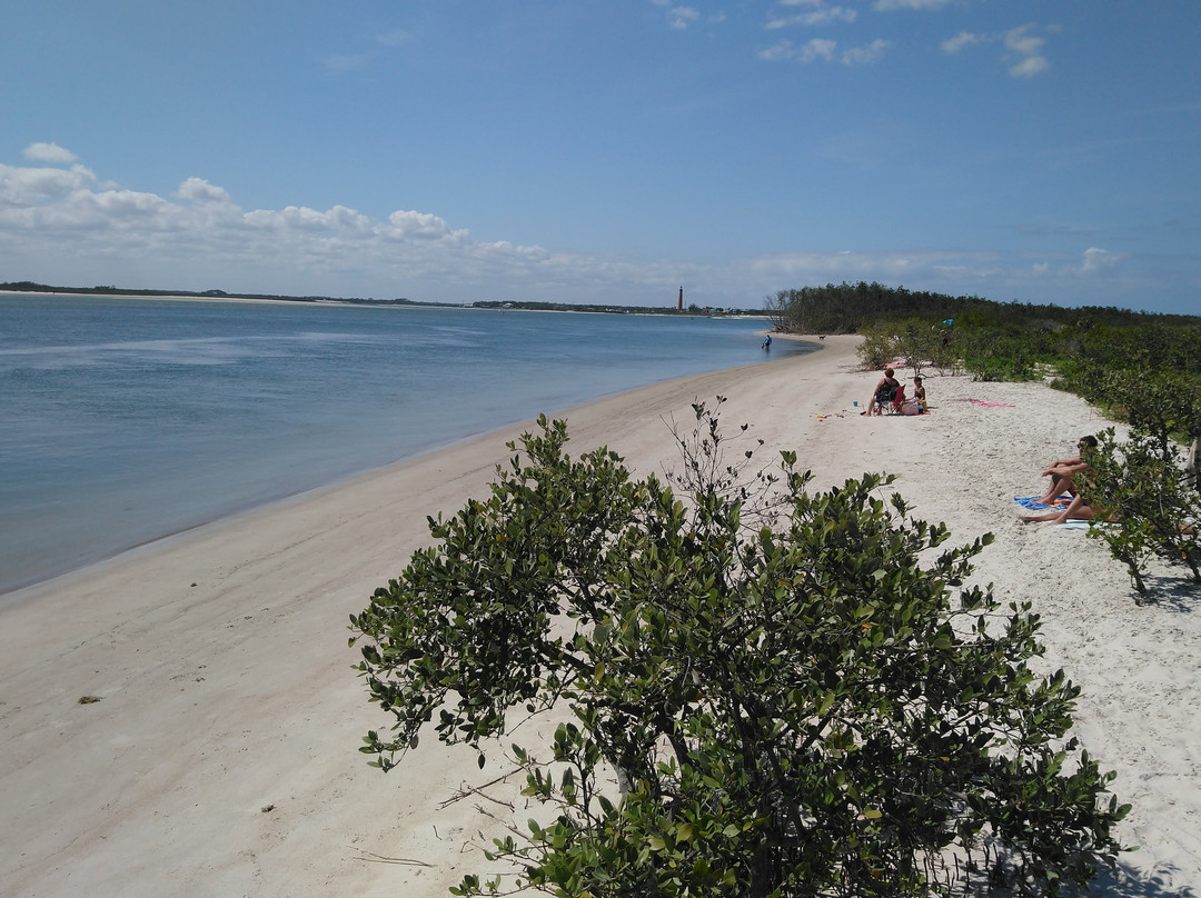 New Smyrna Beach Dog Park景点图片