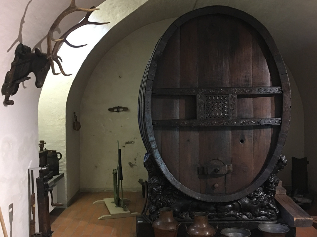 Museum Lindengut-温特图尔必去景点