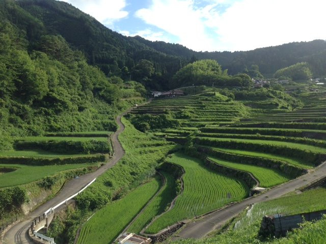 Ini Rice Terraces-安艺太田町必去景点