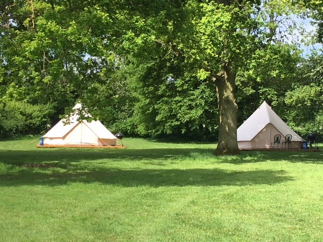 Gorsey Meadow