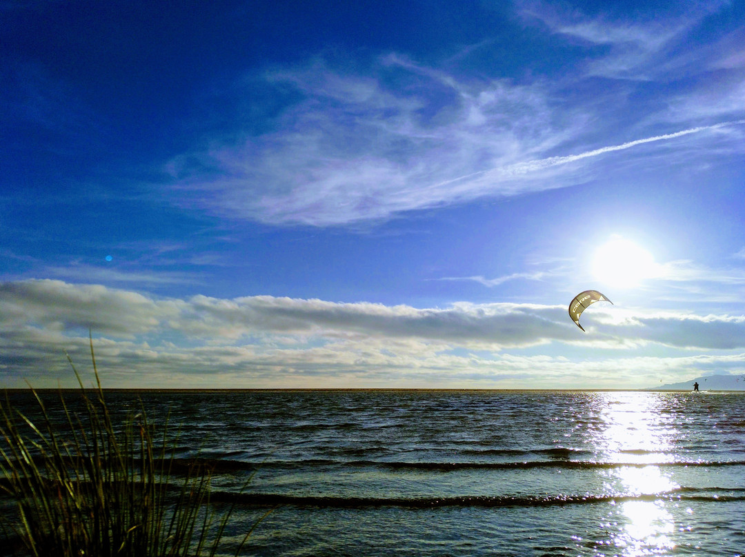 Chicken Loop Kite Club-塔里法必去景点