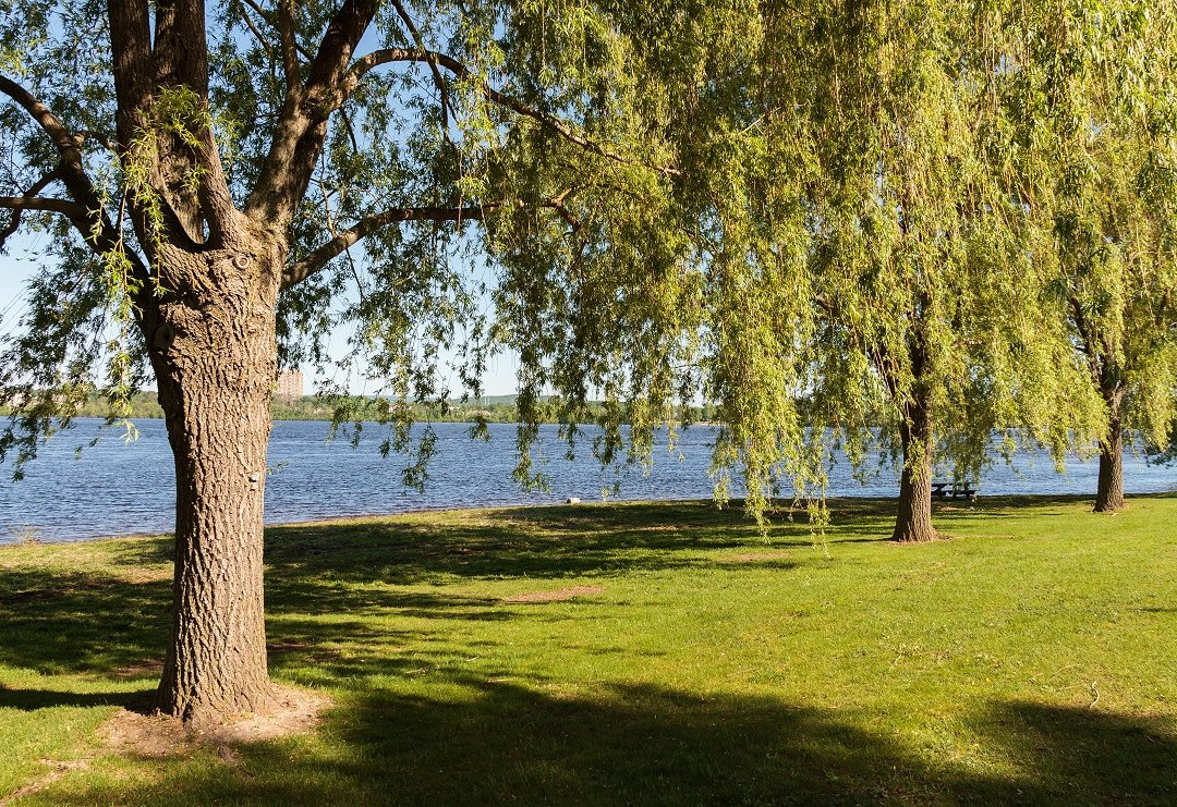 Kichi Zībī Mīkan-渥太华必去景点