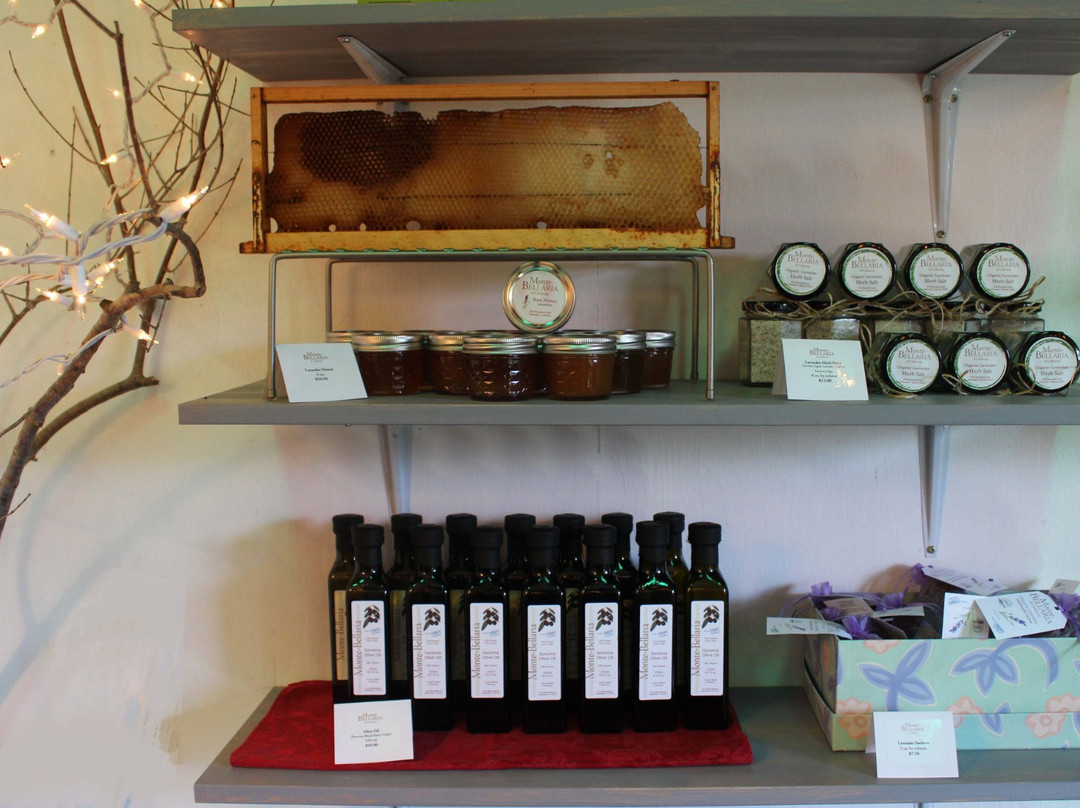 Monte-Bellaria Di California-Sebastopol必去景点