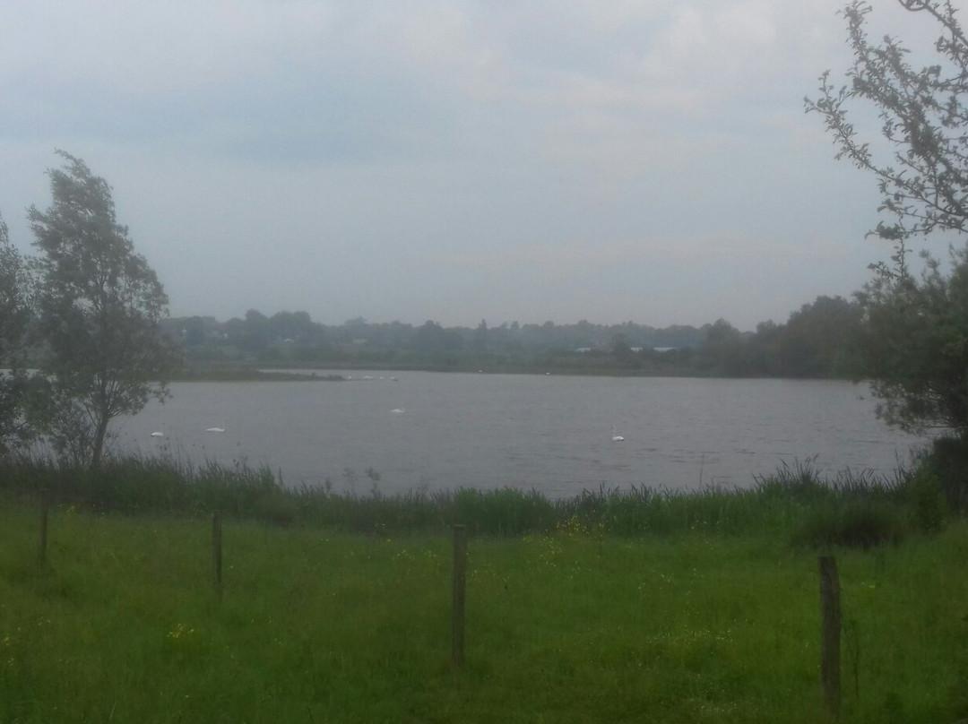 The Stanwick Lakes to Rushden Lakes walk景点图片