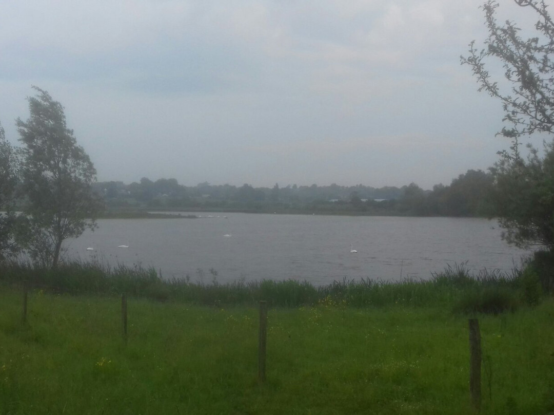 The Stanwick Lakes to Rushden Lakes walk-Rushden必去景点