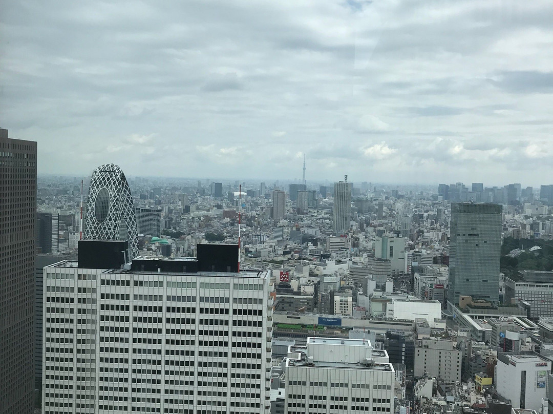 Tokyo Metropolitan Government Building Observation Decks景点图片