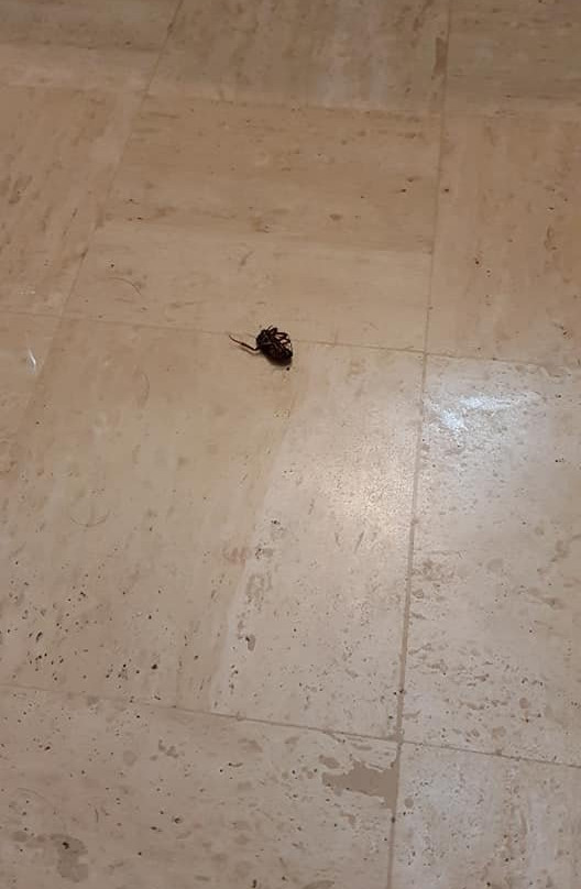 勒弥酒店主图