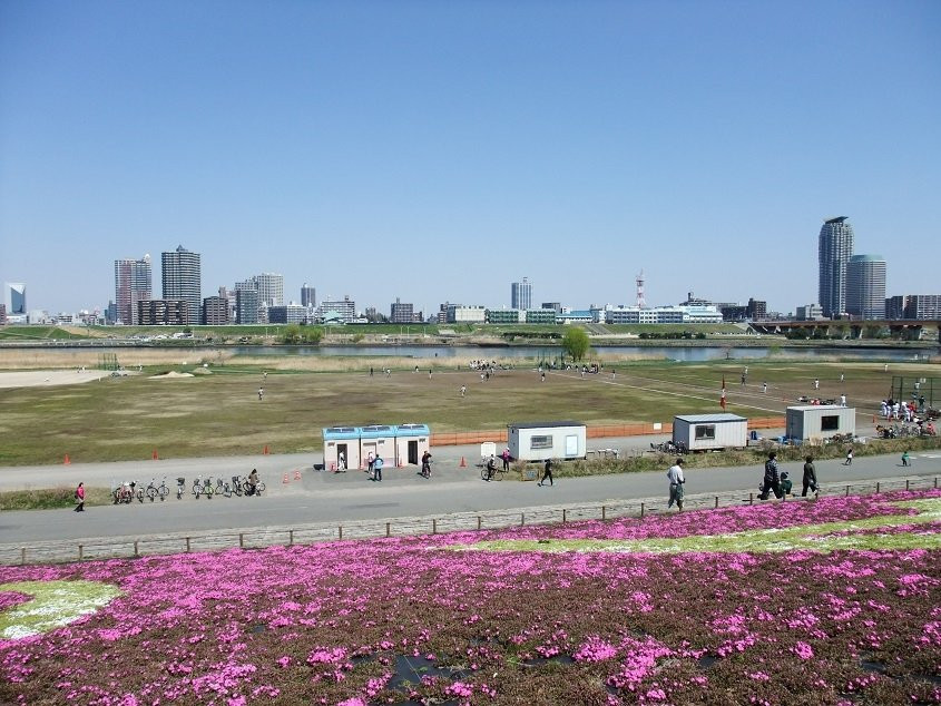 Arakawa Akabane Cherry Blossoms-北区必去景点